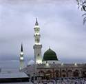 82_roza_rasool