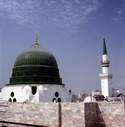 93_roza_rasool